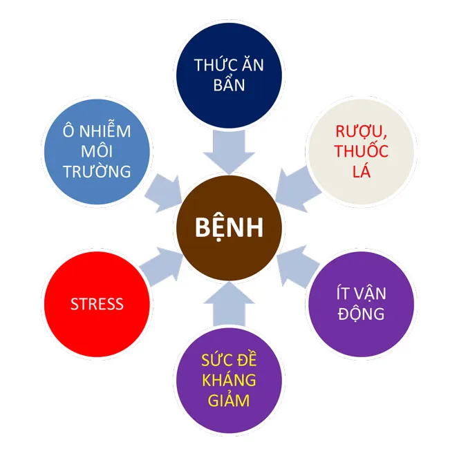 Tự cải thiện chất lượng sống ảnh 2