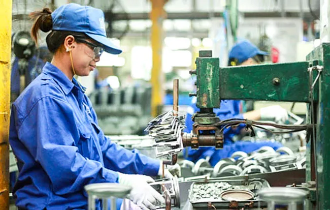 Ngành phụ trợ có kết nối vào ô tô Việt? ảnh 1