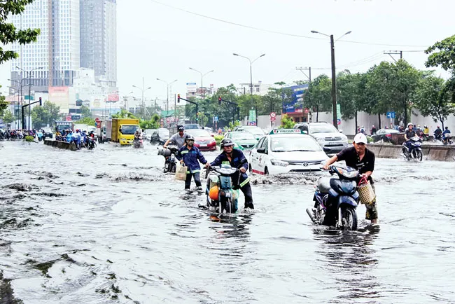Cần nhạc trưởng trong quy hoạch