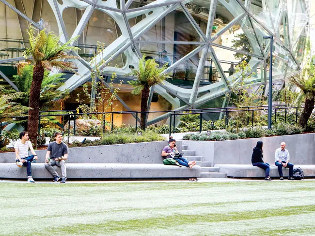 “Khủng long” Amazon ảnh 2