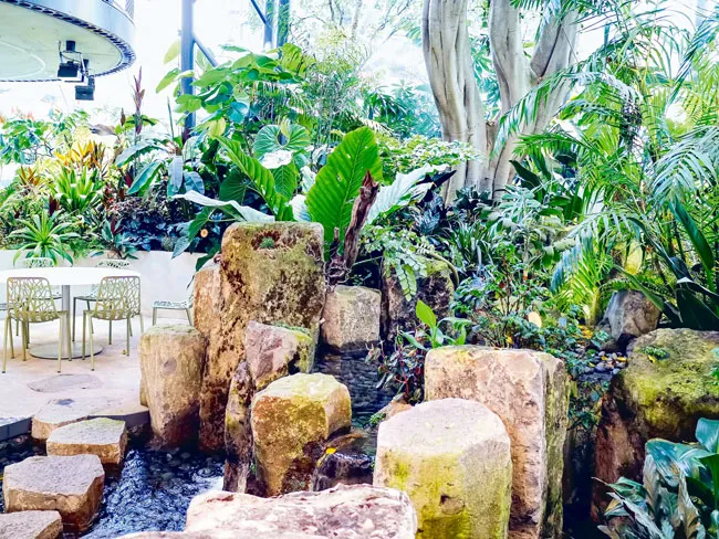 “Khủng long” Amazon ảnh 3