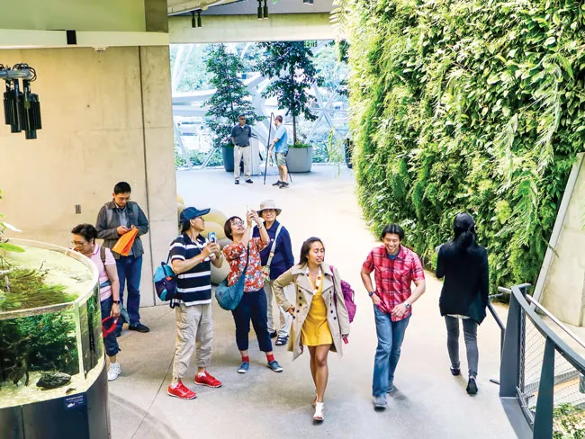 “Khủng long” Amazon ảnh 4