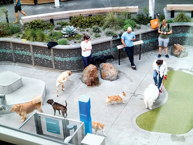 “Khủng long” Amazon ảnh 6