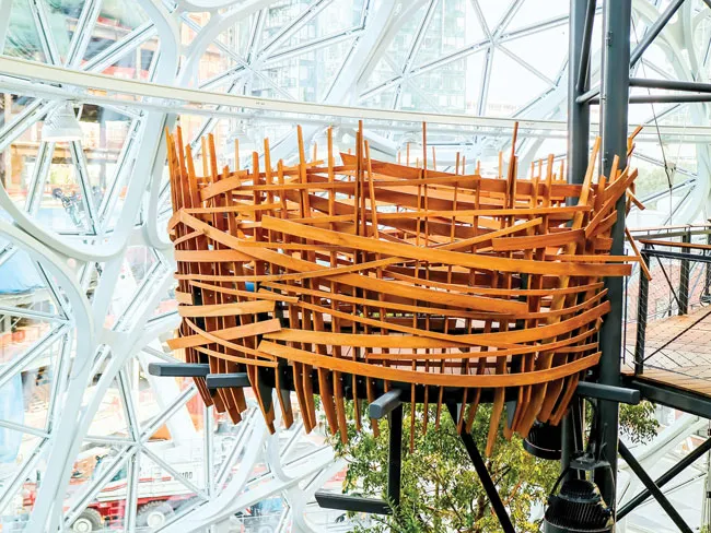 “Khủng long” Amazon ảnh 7