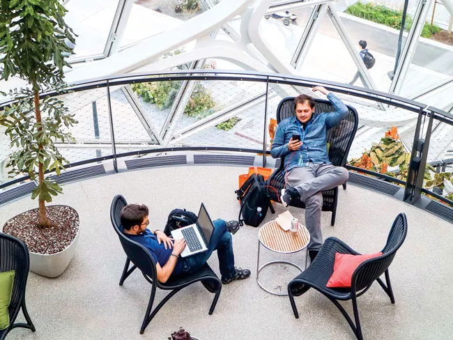 “Khủng long” Amazon ảnh 8