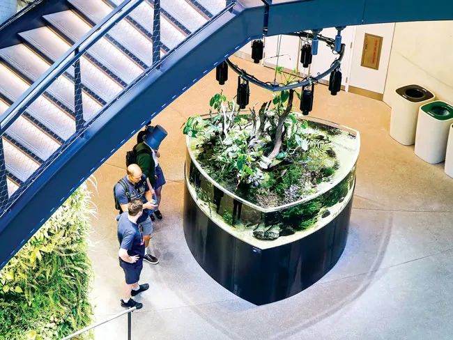 “Khủng long” Amazon ảnh 9