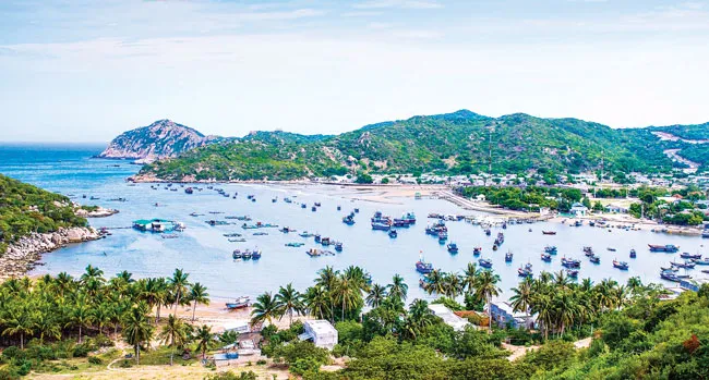 Tuyệt cảnh bờ biển Nam Trung Bộ ảnh 2