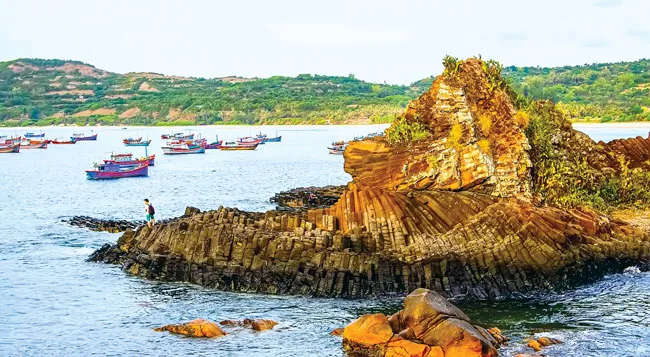 Tuyệt cảnh bờ biển Nam Trung Bộ ảnh 9