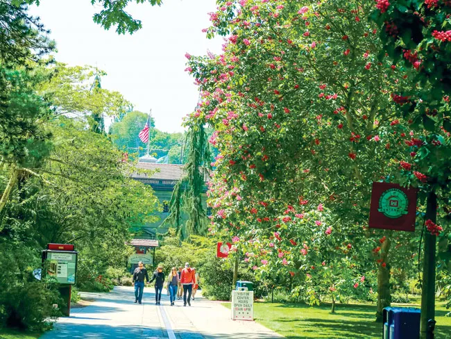 Độc đáo con kênh đào ảnh 4