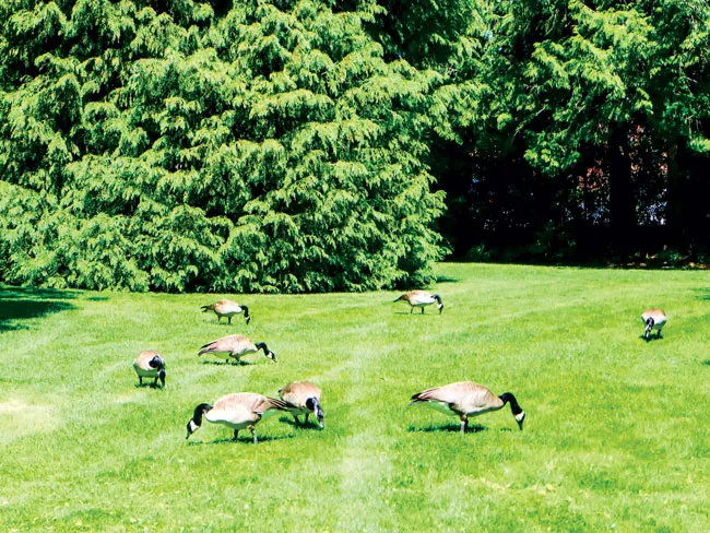 Độc đáo con kênh đào ảnh 5