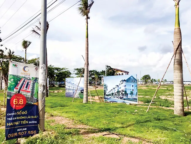 Bà Rịa-Vũng Tàu: Sốt đất, dự án tràn xuống ruộng muối ảnh 2