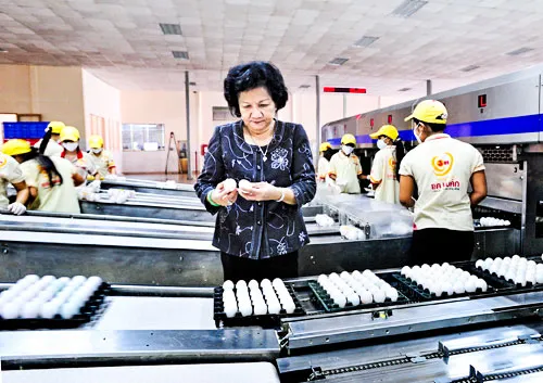 Bài học từ thương vụ Ba Huân và VinaCapital ảnh 1