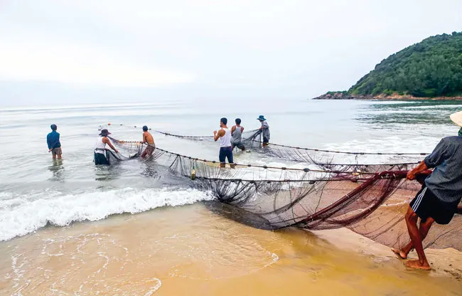 Kéo lưới rồng ảnh 3