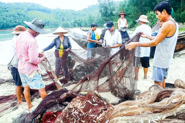 Kéo lưới rồng ảnh 4