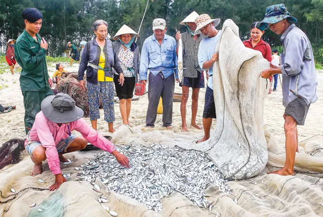 Kéo lưới rồng ảnh 6