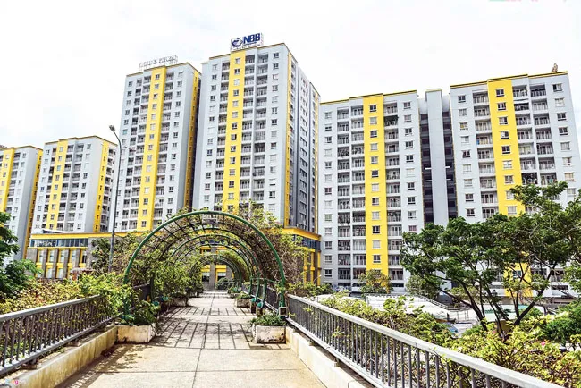 Sau vụ cháy chung cư Carina: SEJCO có né trách nhiệm? ảnh 1