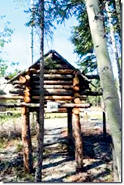 Hành trình khám phá Alaska ảnh 4