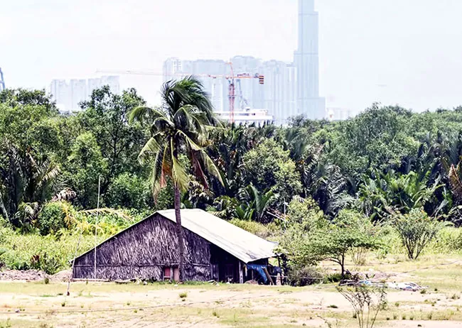 Điểm mặt những dự án “rùa“: Khu dân cư 15 năm chưa hình thành ảnh 1