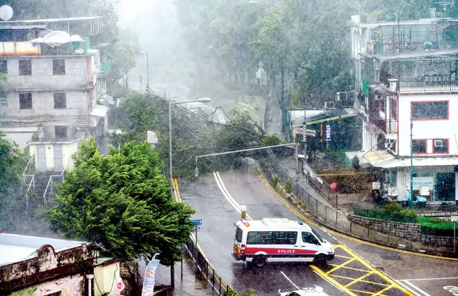 2018 - Năm của những siêu bão ảnh 1