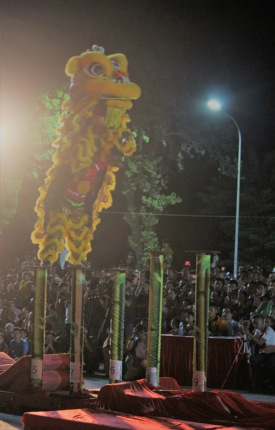 Con Lân từ khắp nơi về Huế tranh tài ảnh 8