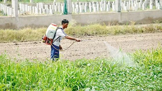 Sử dụng thuốc bảo vệ thực vật an toàn, hiệu quả - Bài 1: Con dao hai lưỡi ảnh 2