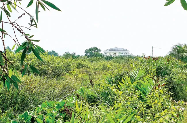 Đất nông nghiệp sinh thái vườn ở Long Phước, quận 9 được rao bán 7 triệu đồng/m2 được mua bán công khai đã xé nát quy hoạch chung. Ảnh: M. TUẤN