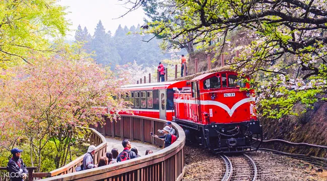 Đài Loan: Trải nghiệm tuyến đường sắt 106 tuổi ảnh 1