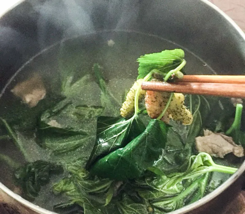 Chữa bệnh hiệu quả bằng cây dâu ảnh 2