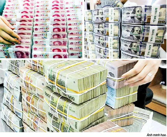 Linh hoạt VNĐ-NDT-USD ảnh 1