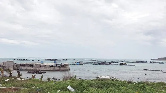 Bão số 9 sắp đổ bộ, Nhiệt điện Vĩnh Tân tạm dừng vận hành, từ chiều nay TPHCM sẽ mưa lớn ảnh 5