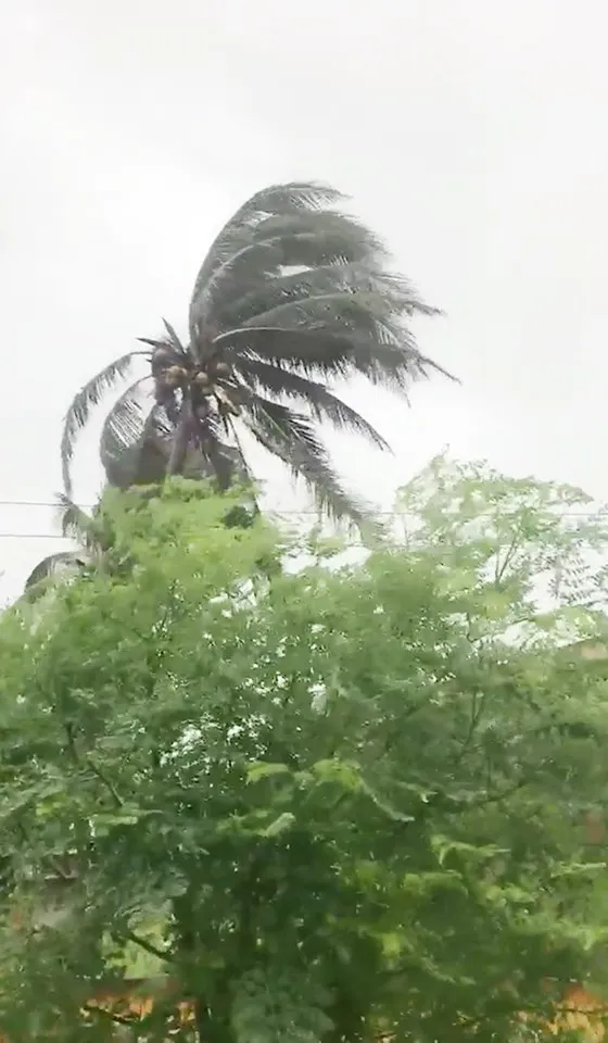 Bão số 9 sắp đổ bộ, Nhiệt điện Vĩnh Tân tạm dừng vận hành, từ chiều nay TPHCM sẽ mưa lớn ảnh 4