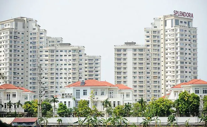 Cục mồi VCG - ông chủ mới ảnh 1