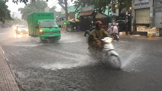 TPHCM mưa lớn, cây xanh bật gốc ngã đè người đi đường tử vong ảnh 12