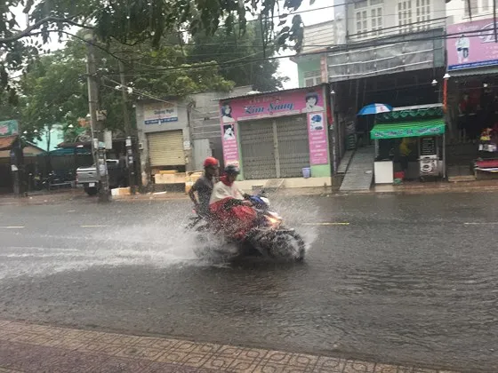 TPHCM mưa lớn, cây xanh bật gốc ngã đè người đi đường tử vong ảnh 17