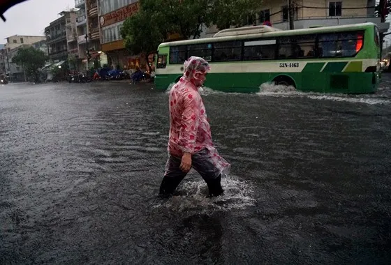 TPHCM mưa lớn, cây xanh bật gốc ngã đè người đi đường tử vong ảnh 5