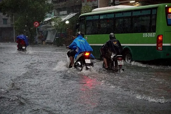 TPHCM mưa lớn, cây xanh bật gốc ngã đè người đi đường tử vong ảnh 6