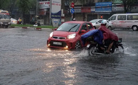 TPHCM mưa lớn, cây xanh bật gốc ngã đè người đi đường tử vong ảnh 8