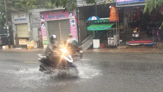 TPHCM mưa lớn, cây xanh bật gốc ngã đè người đi đường tử vong ảnh 13