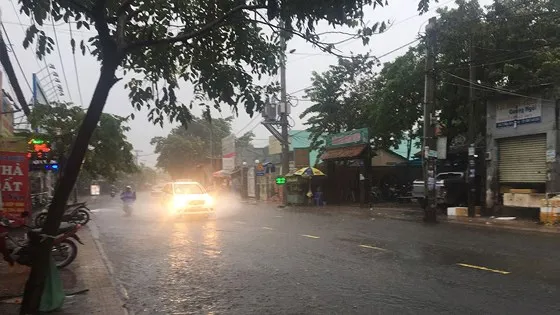 TPHCM mưa lớn, cây xanh bật gốc ngã đè người đi đường tử vong ảnh 15