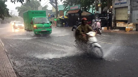 TPHCM mưa lớn, cây xanh bật gốc ngã đè người đi đường tử vong ảnh 16