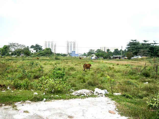 Ì ạch quy hoạch công viên, trường học ảnh 1