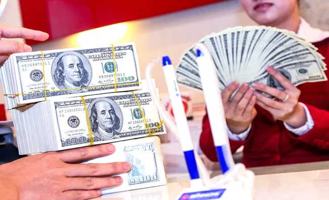 Sẽ chấm dứt cho vay ngoại tệ? ảnh 1