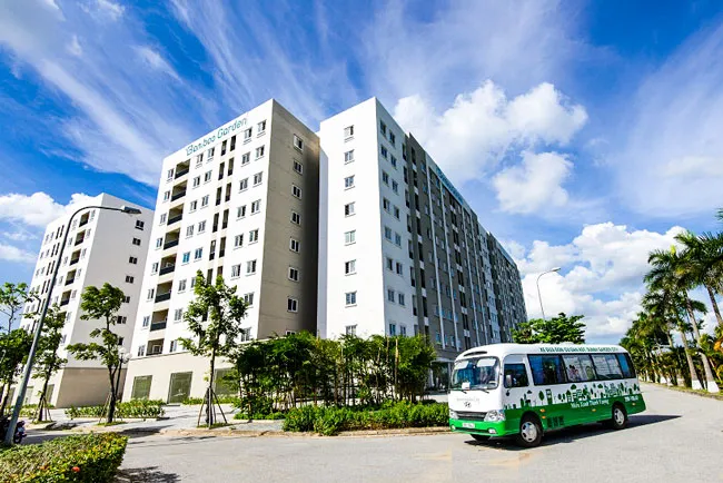 NoXH: Bỏ thương, vương tội ảnh 1