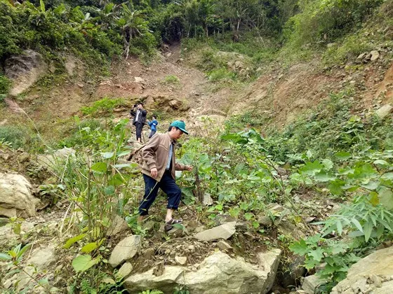 Núi nứt dài 100m, rộng 150m đe dọa trường học và nhà dân ảnh 1 Quảng Ngãi: Nứt núi dài 100m, rộng 150m đe dọa trường học và nhà ở tại Ba Giang ảnh 1