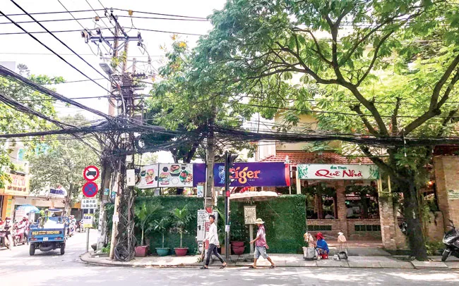 Trảm mạnh đất công sai mục đích ảnh 1