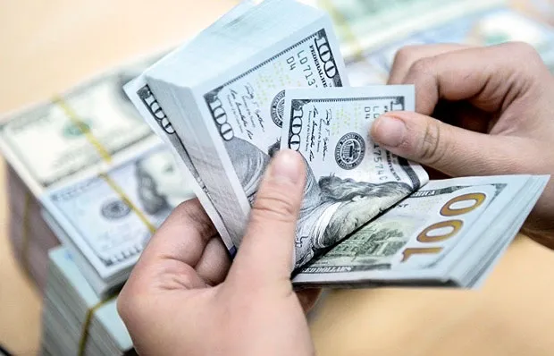 Chủ động với tỷ giá cuối năm ảnh 1