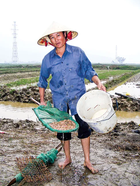 Vào mùa rươi ảnh 1