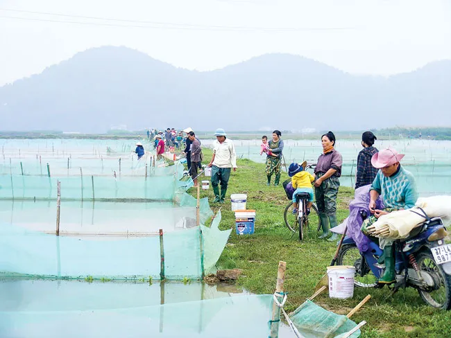 Vào mùa rươi ảnh 2