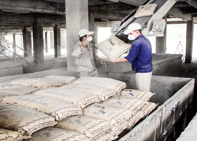 Doanh nghiệp xi măng - Rộng đường xuất khẩu, lợi nhuận khó tăng ảnh 1