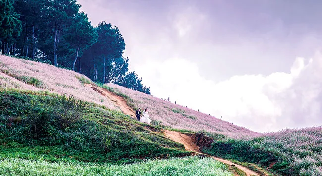 Mộc Châu vào mùa đẹp nhất ảnh 4